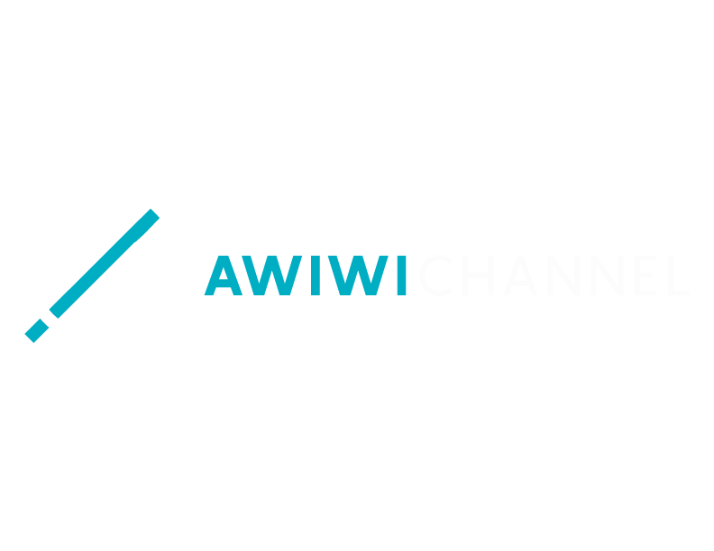Portafolio privado Awiwichannel